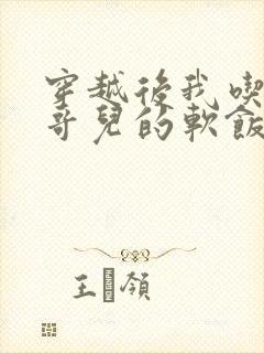 穿越后我吃到了哥儿的软饭炉山灰