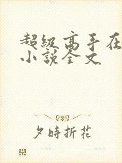 超级高手在都市小说全文