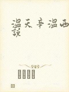 温天辛温西离小说