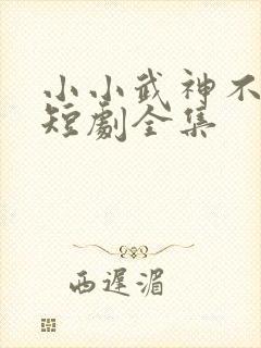 小小武神不好惹短剧全集