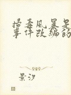 扫毒风暴是真实事件改编的吗