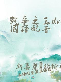 战争之王dvd国语配音