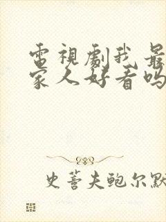 电视剧我最爱的家人好看吗