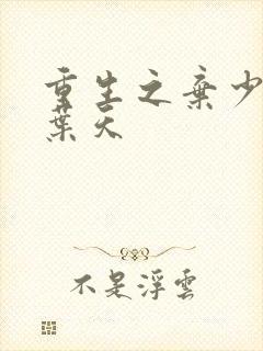 重生之弃少归来叶天