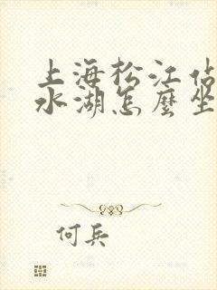 上海松江站到滴水湖怎么坐地铁