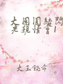 大团圆结闪闪发光亲情会1