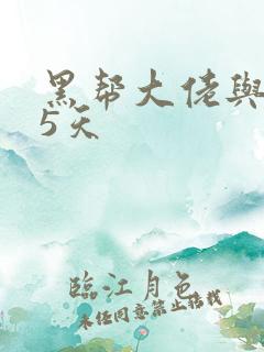 黑帮大佬与365天