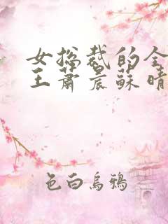 女总裁的全部兵王萧晨苏晴