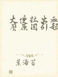 大便拉出血是什么原因引起的