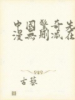 中国惊奇先生动漫无删减在线观看