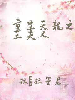 重生天龙之推倒王夫人