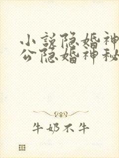 小说隐婚神秘老公隐婚神秘老公