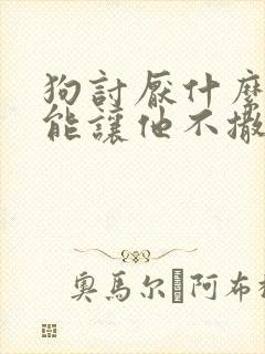 狗讨厌什么气味能让他不撒尿