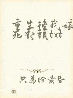 重生后我嫁给了死对头txt