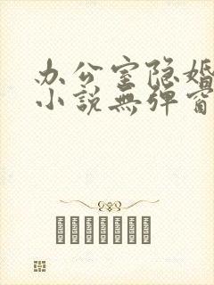 办公室隐婚轻黯小说无弹窗