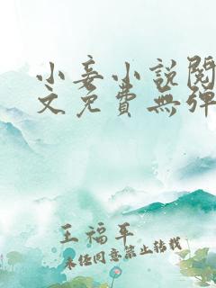 小妾小说阅读全文免费无弹窗