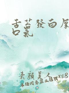 舌苔发白厚腻有口气