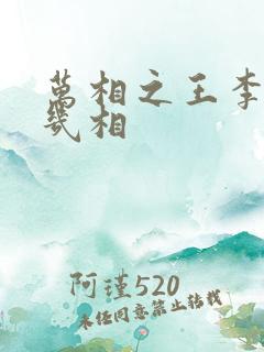 万相之王李洛有几相