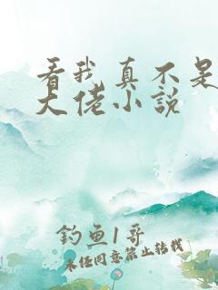 看我真不是女装大佬小说