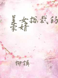 美女总裁的顶级豪婿