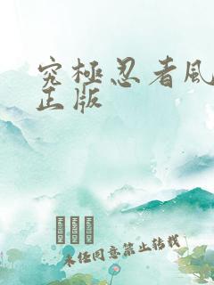 究极忍者风暴4正版