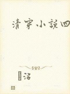 清穿小说四四