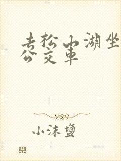 去松山湖坐几路公交车