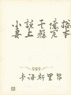 小说千亿总裁宠妻上瘾完本