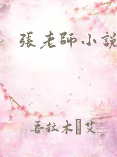 张老师小说