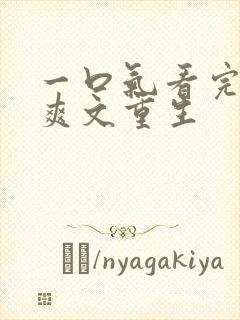 一口气看完小说爽文重生