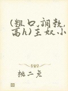 (粗口,调教,高h)主奴小说