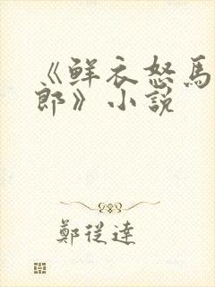 《鲜衣怒马少年郎》小说