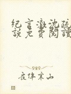 纪言澈沈疏宁小说免费阅读最新章节