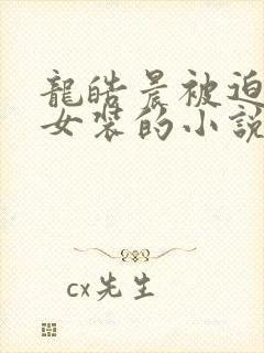 龙皓晨被迫穿上女装的小说叫什么