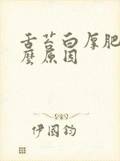 舌苔白厚肥大什么原因