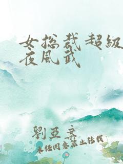 女总裁超级兵王夜风武
