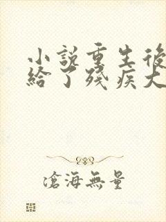 小说重生后我嫁给了残疾大佬更新