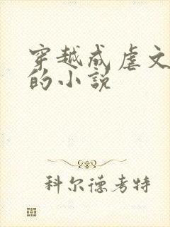 穿越成虐文女主的小说