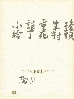 小说重生后我嫁给了死对头完整版