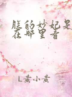 朕的妙妃是暴君在哪里看