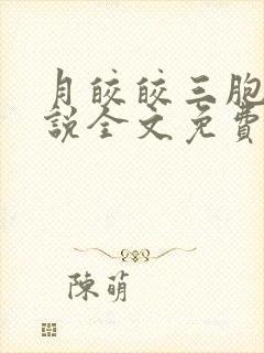 月皎皎三胞胎小说全文免费阅读