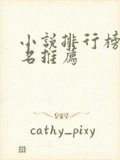 小说排行榜前十名推荐