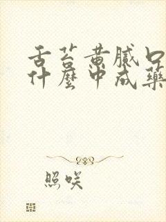 舌苔黄腻口臭吃什么中成药