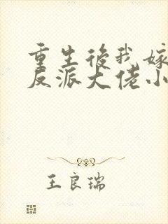 重生后我嫁给了反派大佬小说