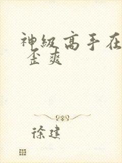 神级高手在都市 歪爽