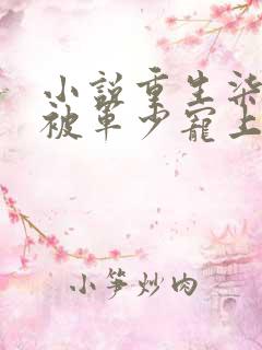 小说重生柒零我被军少宠上天在线阅读