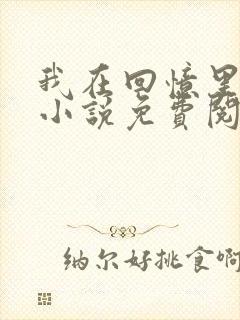 我在回忆里等你小说免费阅读