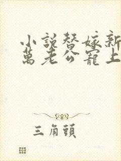 小说替嫁新娘亿万老公宠上天