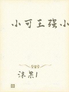小可王强小说