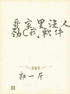 哥家里没人使点劲C我软件